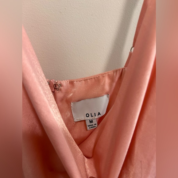 NWT Olia Clothing Here With Us Satin Mini Dress in Pink - Picture 7 of 10